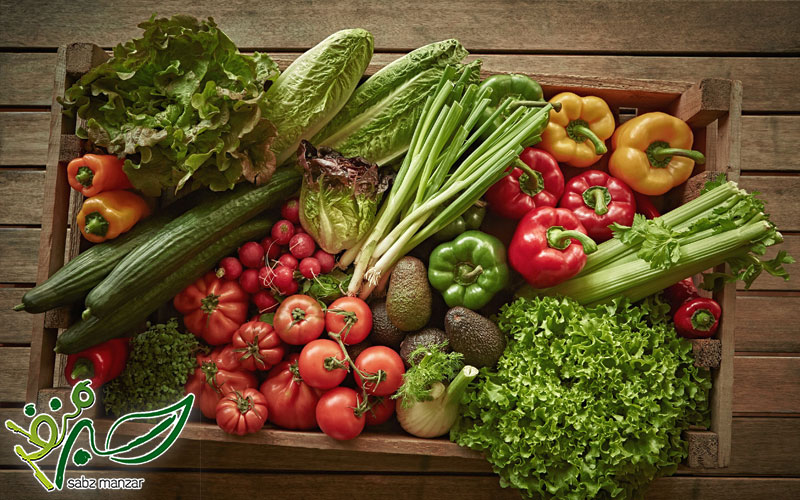 تفاوت محصول سالم و ارگانیک در چیست؟